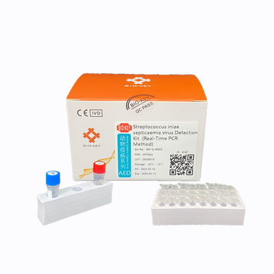 Fluorescente Sondestreptokok Test Kit Ct 38 PCR Aquicultuuruitrusting