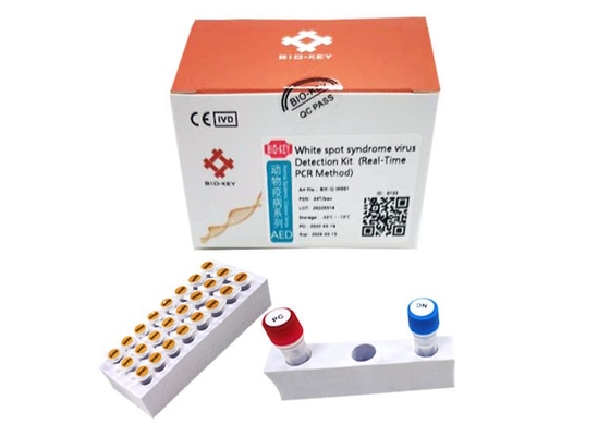 Vannamei garnalen Witte Vlek Syndroom Virus WSSV Rapid Test Kit Garnelen Baculovirus PCR Kit