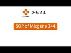 POCT Real-time kwantitatieve PCR-machine 2 / 4 kanalen 24 Well Moleculaire Diagnostiek apparaat