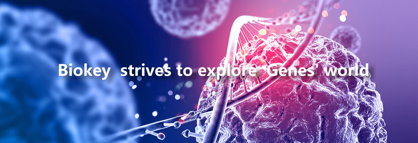 kwaliteit De Machine van rechts qPCR fabriek