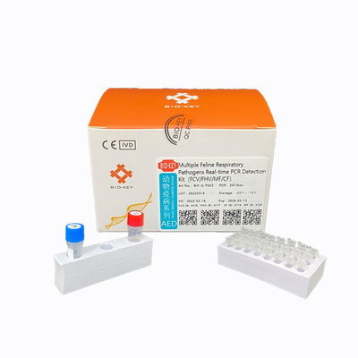 PCR de Katachtige Herpesvirus Uitrustingen Cat Test Chlamydia Fluorescence van de Testsonde