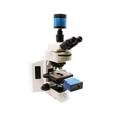 Verticale microscoop B80F van onderzoeksgraad met 12V/3W LED-lichtbron