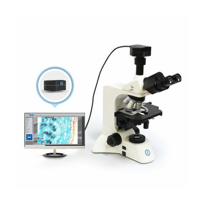 30° gekantelde drie-oogcilinder Verticale microscoop B60