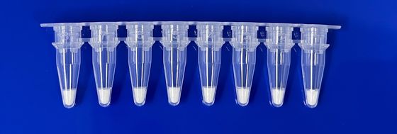 Lyofiliseerde real-time PCR-detectie-kit voor varkensbestanddeel in voedselmonster