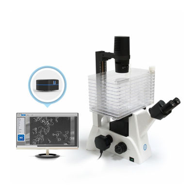 Omgekeerde biologische microscoop B60iL Speciale microscoop voor celfabrieksobservatie
