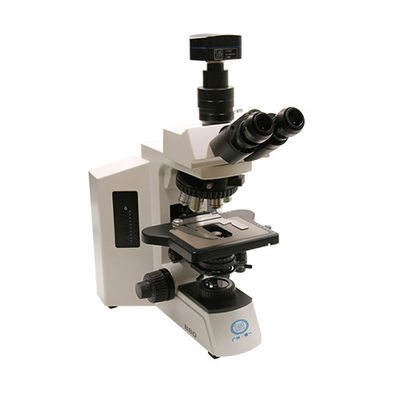 Onderzoeksgraad Verticale microscoop B80