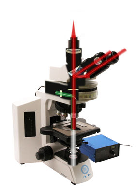 Verticale microscoop B80F van onderzoeksgraad met 12V/3W LED-lichtbron