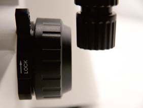 Grove / Micro Coaxial Focusing Verticale Biologische Microscoop B70F