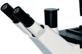 Inverse Biologische Microscoop B60i Fijn coaxiale scherpstelling