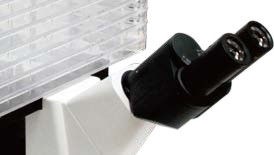 Omgekeerde biologische microscoop B60iL Speciale microscoop voor celfabrieksobservatie