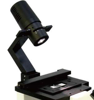 Stroomlijnde ontwerp B80iF Omgekeerde biologische microscoop voor celweefselobservatie