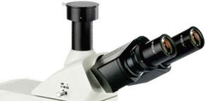 30° gekantelde drie-oogcilinder Verticale microscoop B60