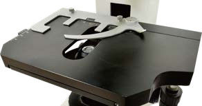 30° gekantelde drie-oogcilinder Verticale microscoop B60