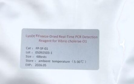 LyoDt® vriesdroogpoeder Real-Time PCR-detectie-reagentia voor Vibrio cholerae O1 - geen koude keten vereist en één test vooraf afgegeven
