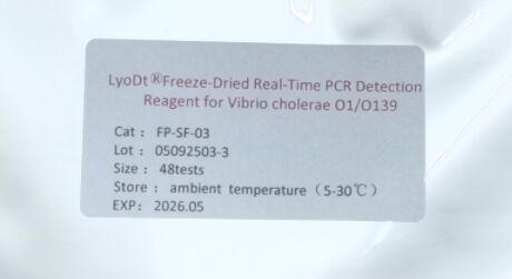 LyoDt® Gevriesdroogde Real-Time PCR Detectiereagens voor Vibrio cholerae O1/O139 - Geen Koudeketen Vereist & Enkele Test Voorgeïnjecteerd